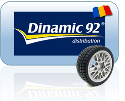 Web Design Dinamic 92