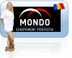 Web Design Mondo Romania