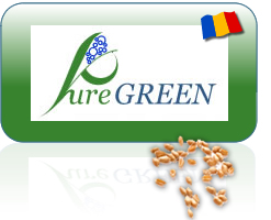 Web Design PureGREEN Romania